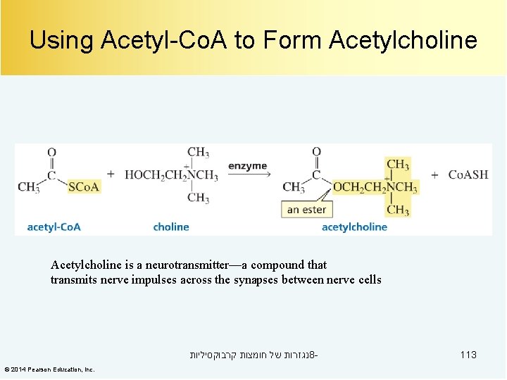 Using Acetyl-Co. A to Form Acetylcholine is a neurotransmitter—a compound that transmits nerve impulses