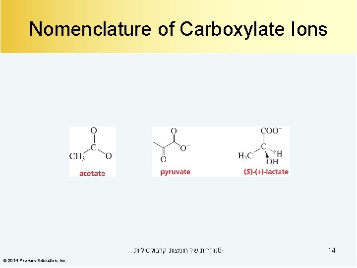 Nomenclature of Carboxylate Ions נגזרות של חומצות קרבוקסיליות 8© 2014 Pearson Education, Inc. 14