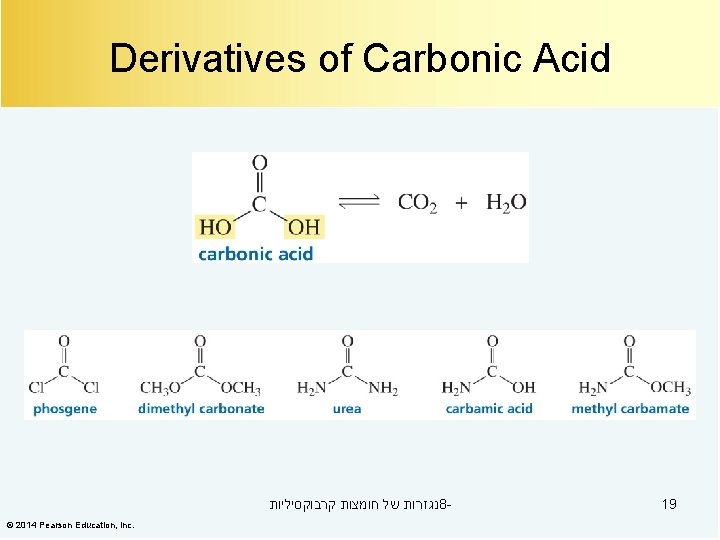 Derivatives of Carbonic Acid נגזרות של חומצות קרבוקסיליות 8© 2014 Pearson Education, Inc. 19