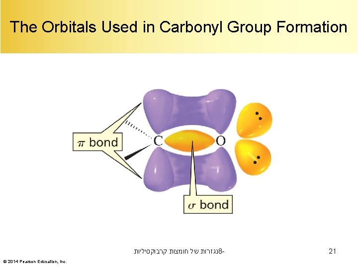 The Orbitals Used in Carbonyl Group Formation נגזרות של חומצות קרבוקסיליות 8© 2014 Pearson