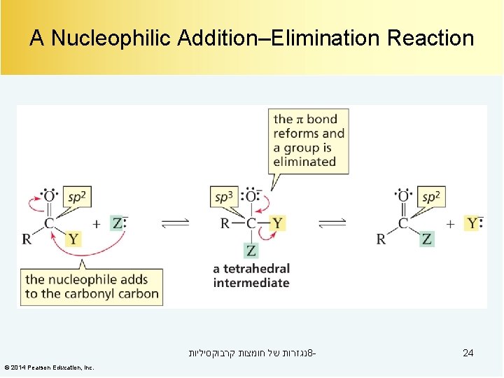 A Nucleophilic Addition–Elimination Reaction נגזרות של חומצות קרבוקסיליות 8© 2014 Pearson Education, Inc. 24