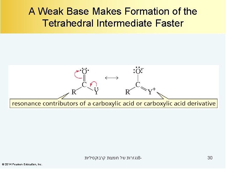 A Weak Base Makes Formation of the Tetrahedral Intermediate Faster נגזרות של חומצות קרבוקסיליות