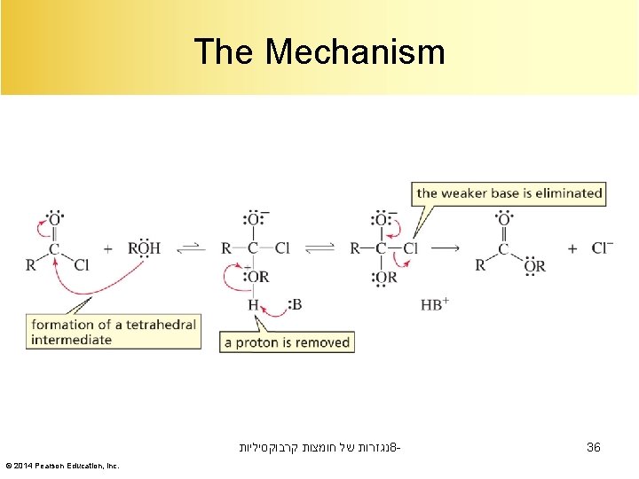 The Mechanism נגזרות של חומצות קרבוקסיליות 8© 2014 Pearson Education, Inc. 36 