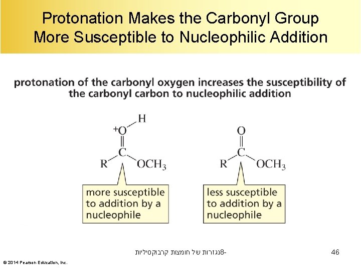 Protonation Makes the Carbonyl Group More Susceptible to Nucleophilic Addition נגזרות של חומצות קרבוקסיליות