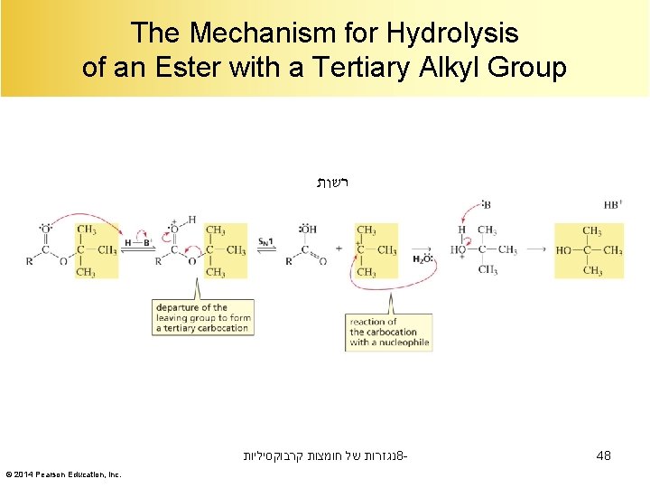 The Mechanism for Hydrolysis of an Ester with a Tertiary Alkyl Group רשות נגזרות