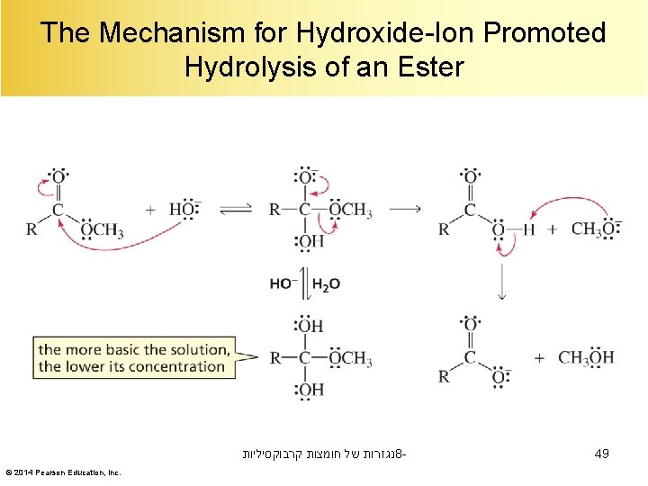 The Mechanism for Hydroxide-Ion Promoted Hydrolysis of an Ester נגזרות של חומצות קרבוקסיליות 8©