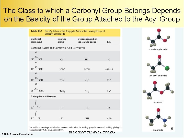 The Class to which a Carbonyl Group Belongs Depends on the Basicity of the