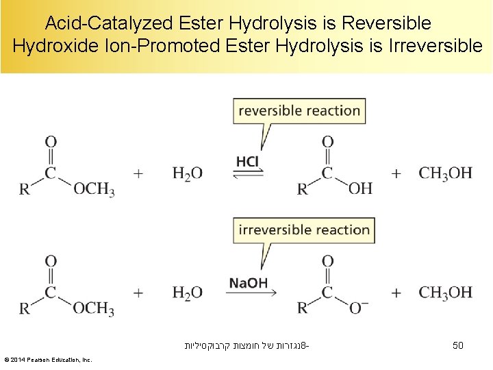 Acid-Catalyzed Ester Hydrolysis is Reversible Hydroxide Ion-Promoted Ester Hydrolysis is Irreversible נגזרות של חומצות