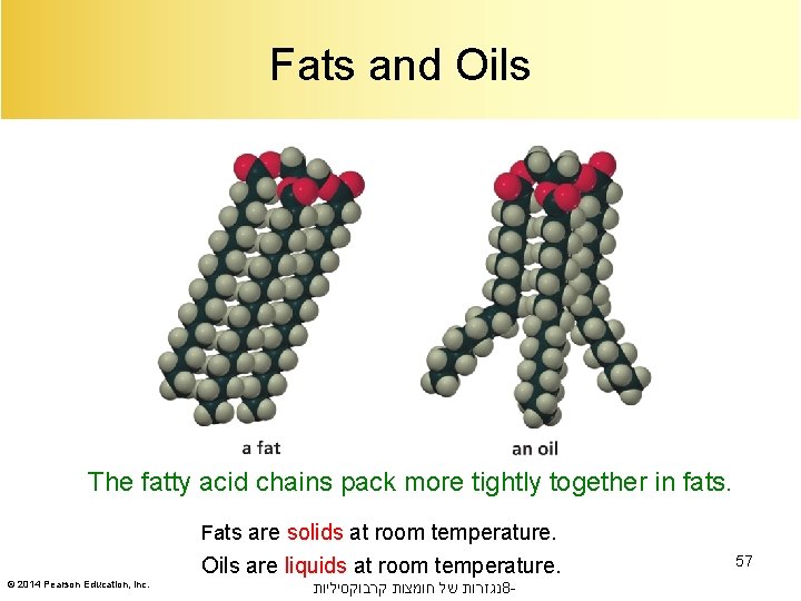 Fats and Oils The fatty acid chains pack more tightly together in fats. Fats