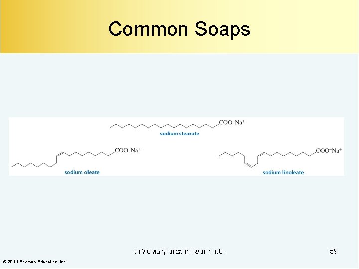 Common Soaps נגזרות של חומצות קרבוקסיליות 8© 2014 Pearson Education, Inc. 59 