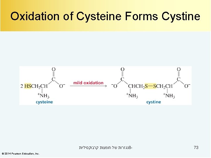 Oxidation of Cysteine Forms Cystine נגזרות של חומצות קרבוקסיליות 8© 2014 Pearson Education, Inc.