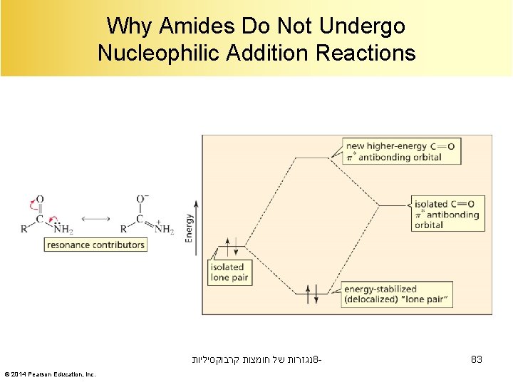 Why Amides Do Not Undergo Nucleophilic Addition Reactions נגזרות של חומצות קרבוקסיליות 8© 2014