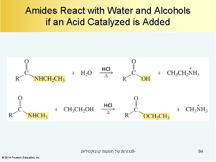 Amides React with Water and Alcohols if an Acid Catalyzed is Added נגזרות של