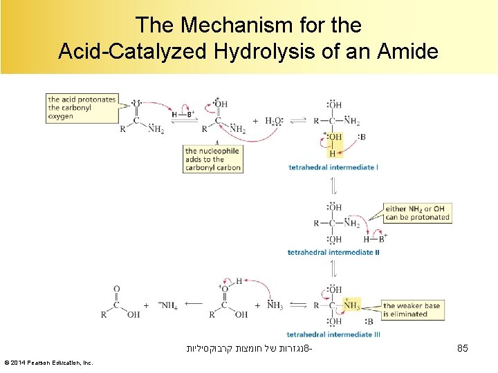 The Mechanism for the Acid-Catalyzed Hydrolysis of an Amide נגזרות של חומצות קרבוקסיליות 8©