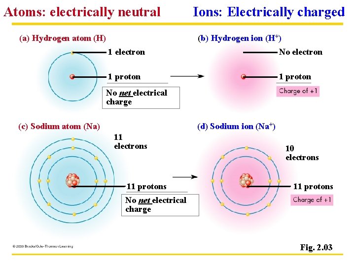 Atoms: electrically neutral (a) Hydrogen atom (H) Ions: Electrically charged (b) Hydrogen ion (H+)