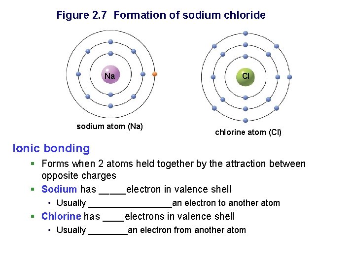 Figure 2. 7 Formation of sodium chloride Na sodium atom (Na) Cl chlorine atom
