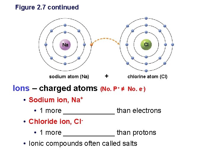 Figure 2. 7 continued Cl Na sodium atom (Na) + Ions – charged atoms