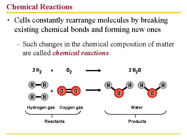 Chemical Reactions • Cells constantly rearrange molecules by breaking existing chemical bonds and forming
