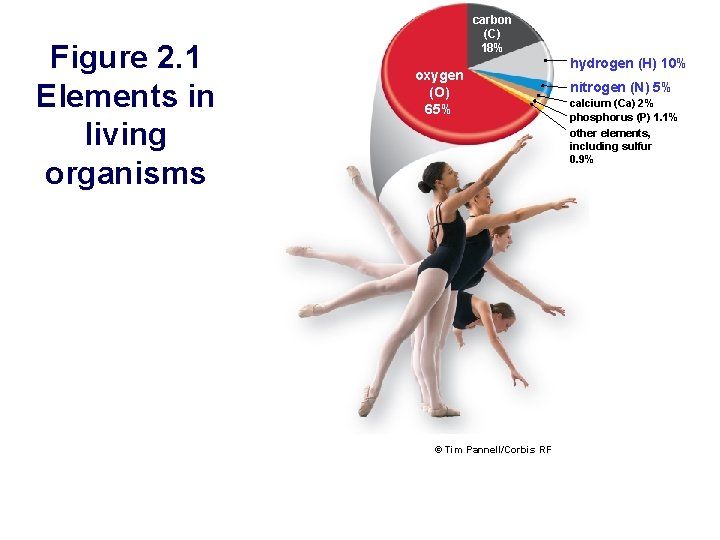 Figure 2. 1 Elements in living organisms carbon (C) 18% oxygen (O) 65% ©