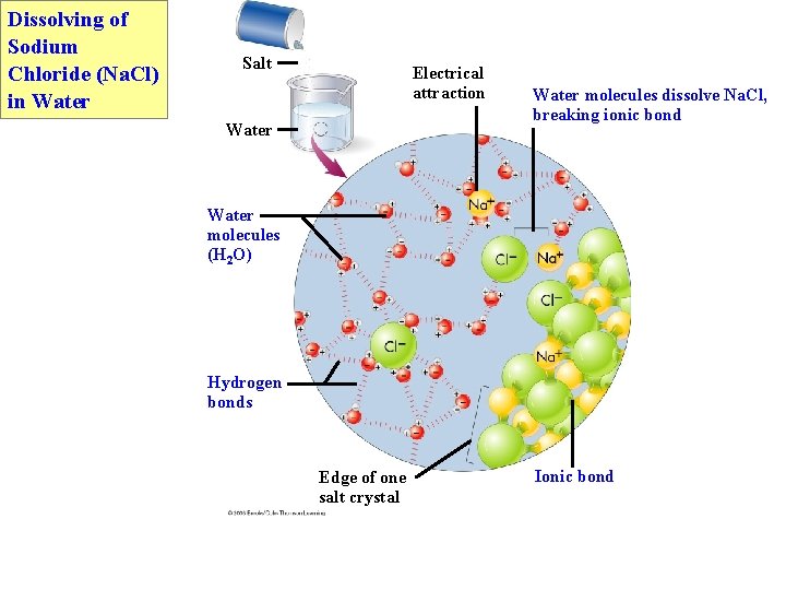 Dissolving of Sodium Chloride (Na. Cl) in Water Salt Electrical attraction Water molecules dissolve