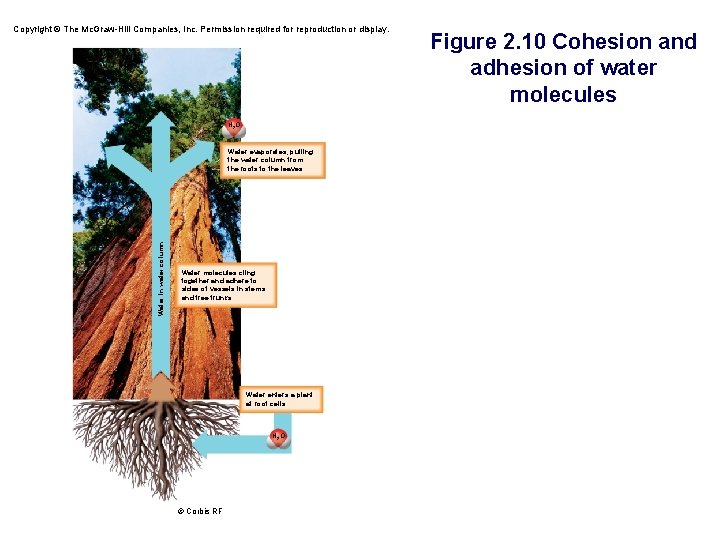 Copyright © The Mc. Graw-Hill Companies, Inc. Permission required for reproduction or display. H