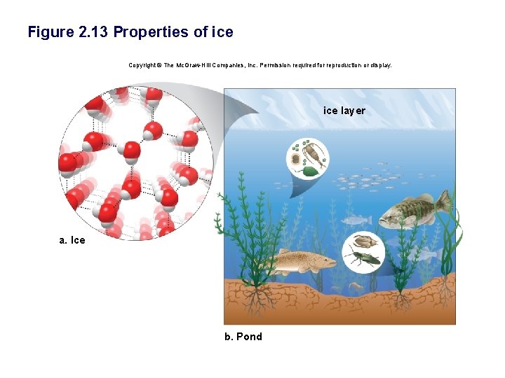 Figure 2. 13 Properties of ice Copyright © The Mc. Graw-Hill Companies, Inc. Permission