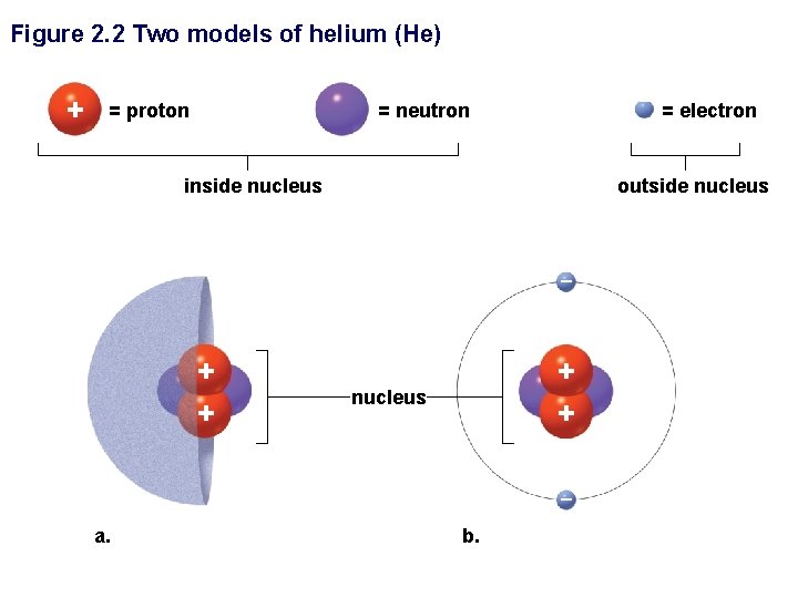 Figure 2. 2 Two models of helium (He) + = proton – = neutron