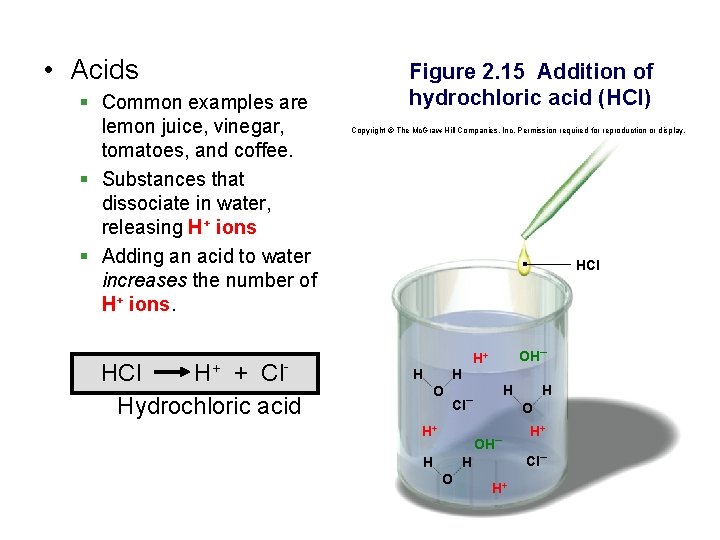  • Acids § Common examples are lemon juice, vinegar, tomatoes, and coffee. §