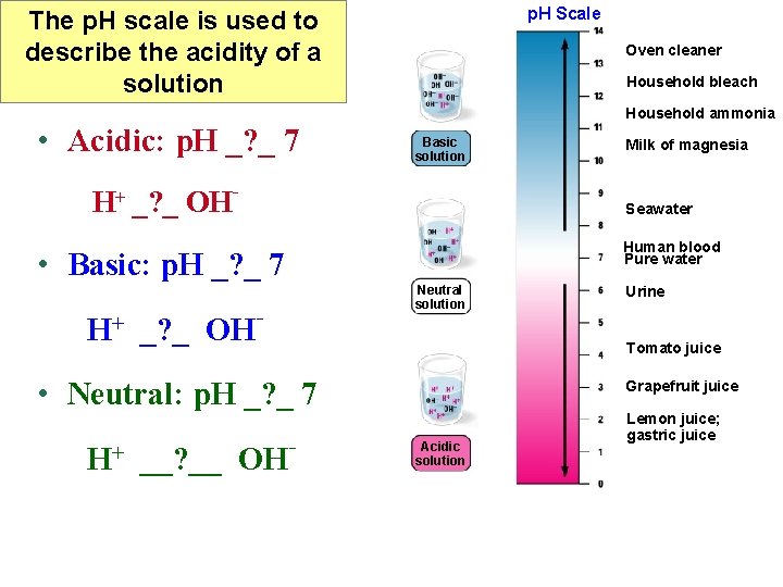 p. H Scale The p. H scale is used to describe the acidity of