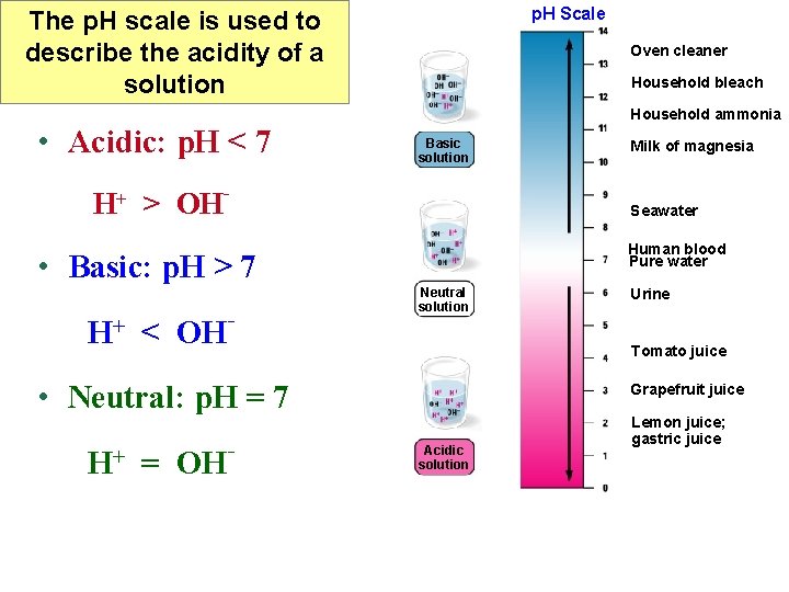 p. H Scale The p. H scale is used to describe the acidity of