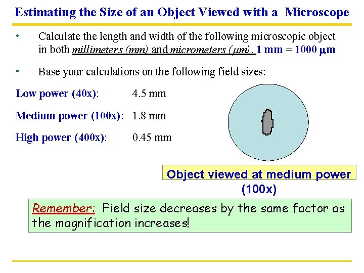Estimating the Size of an Object Viewed with a Microscope • Calculate the length