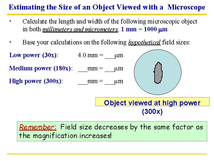 Estimating the Size of an Object Viewed with a Microscope • Calculate the length