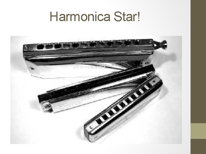 Harmonica Star! 