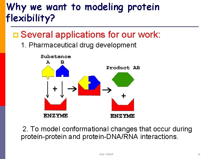 Why we want to modeling protein flexibility? p Several applications for our work: 1.