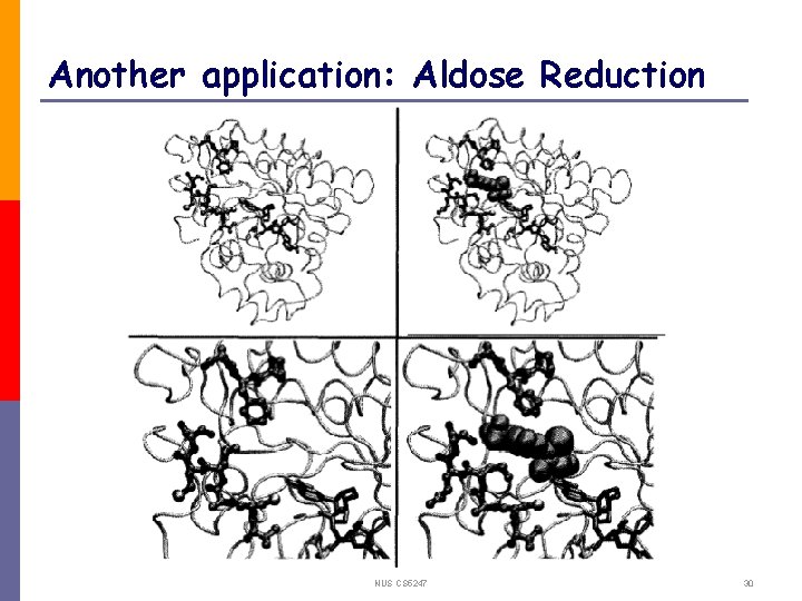 Another application: Aldose Reduction NUS CS 5247 30 