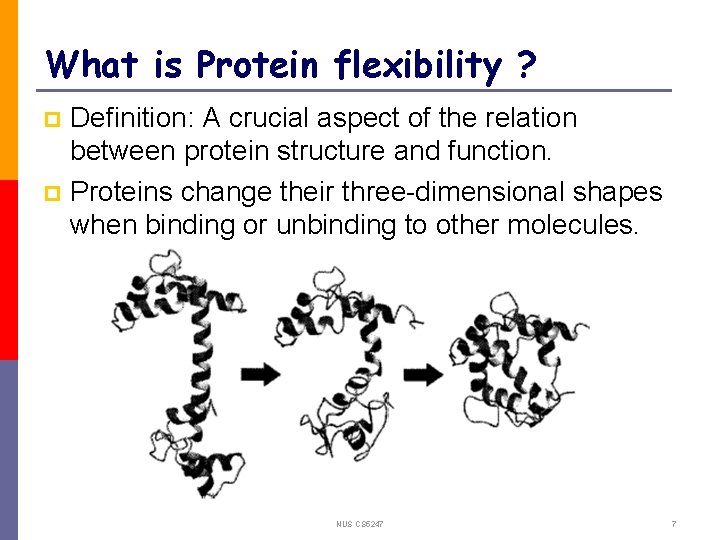 What is Protein flexibility ? Definition: A crucial aspect of the relation between protein