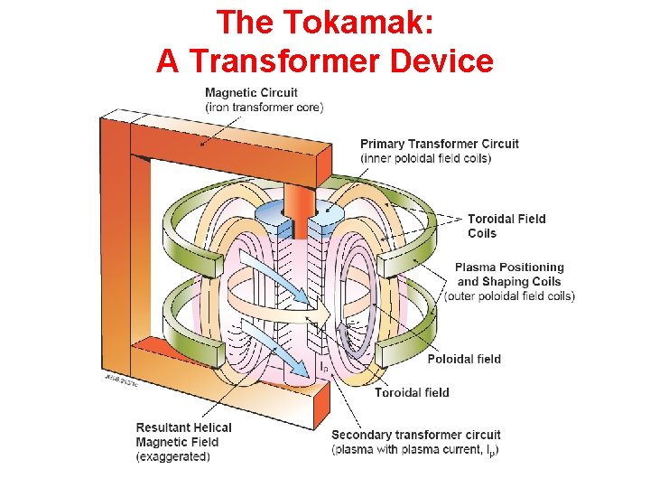 The Tokamak: A Transformer Device 