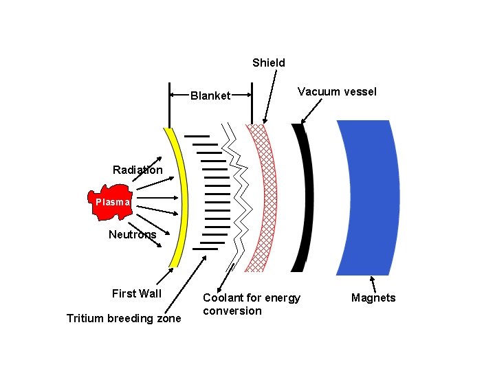 Shield Blanket Vacuum vessel Radiation Plasma Neutrons First Wall Tritium breeding zone Coolant for