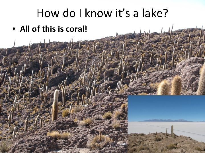 How do I know it’s a lake? • All of this is coral! 