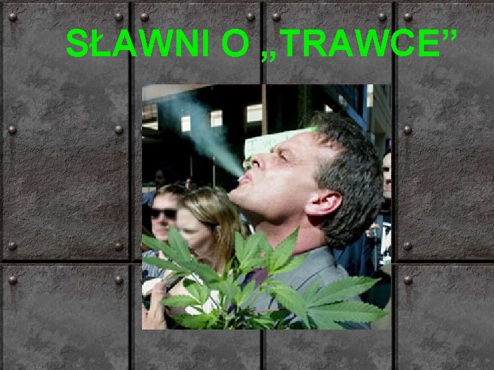 SŁAWNI O „TRAWCE” 
