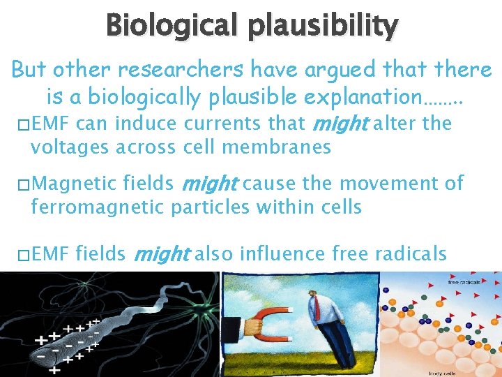Biological plausibility But other researchers have argued that there is a biologically plausible explanation…….