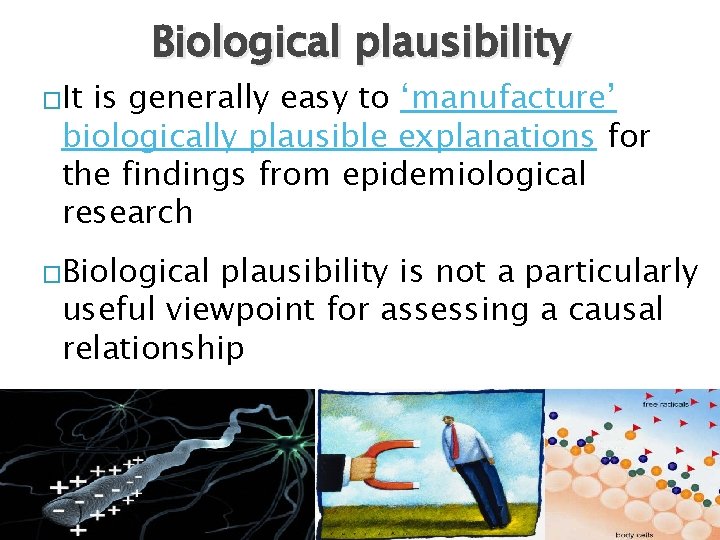 �It Biological plausibility is generally easy to ‘manufacture’ biologically plausible explanations for the findings