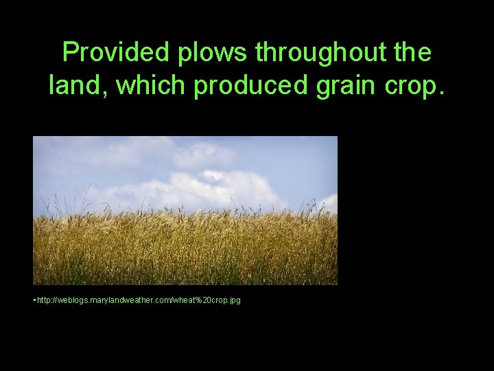 Provided plows throughout the land, which produced grain crop. • http: //weblogs. marylandweather. com/wheat%20