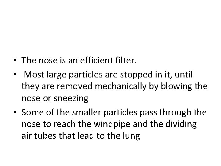  • The nose is an efficient filter. • Most large particles are stopped