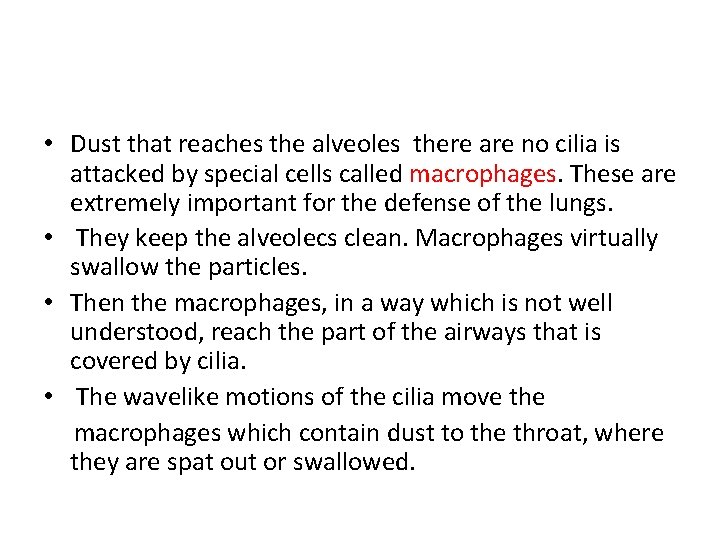  • Dust that reaches the alveoles there are no cilia is attacked by