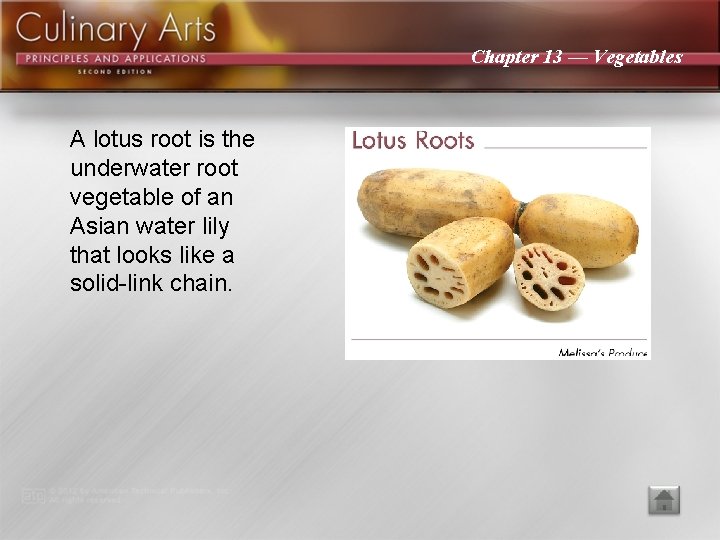 Chapter 13 — Vegetables A lotus root is the underwater root vegetable of an
