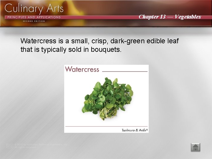 Chapter 13 — Vegetables Watercress is a small, crisp, dark-green edible leaf that is