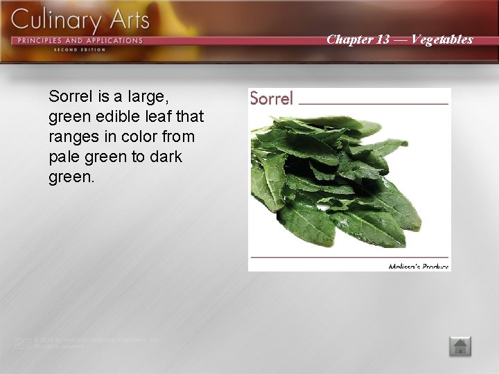 Chapter 13 — Vegetables Sorrel is a large, green edible leaf that ranges in