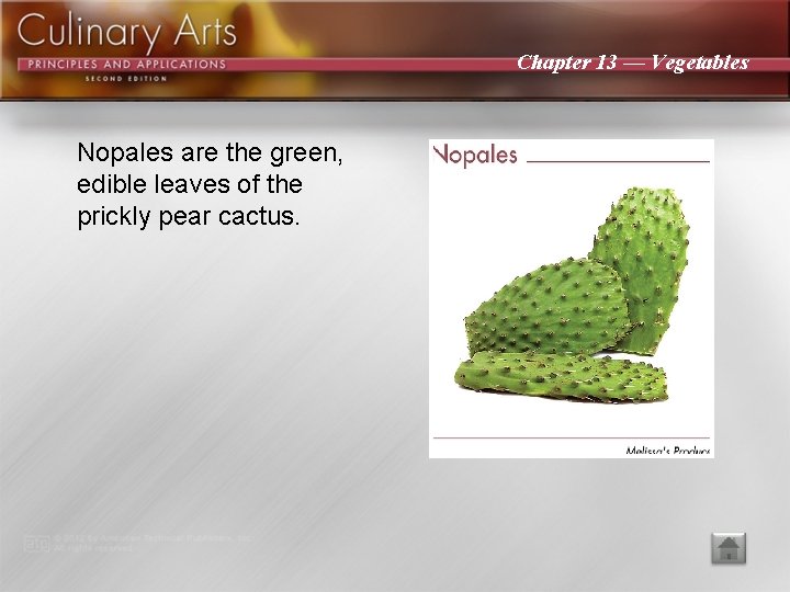 Chapter 13 — Vegetables Nopales are the green, edible leaves of the prickly pear