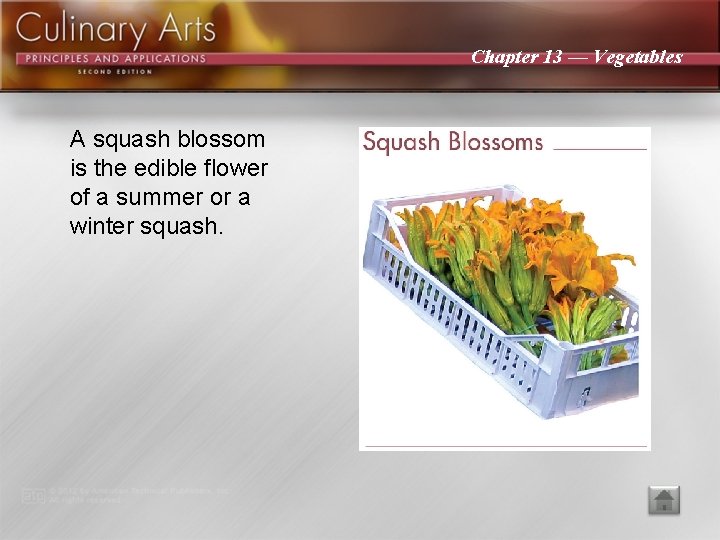 Chapter 13 — Vegetables A squash blossom is the edible flower of a summer